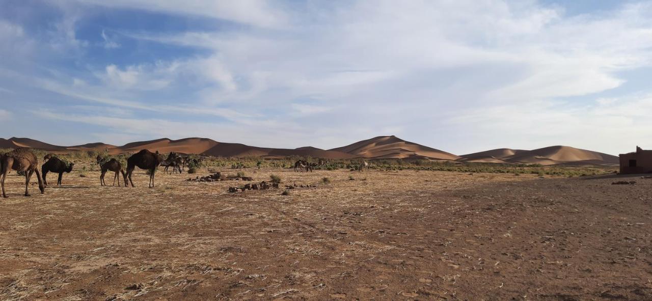 מלון מחמיד Erg Chegaga Camp Excursions מראה חיצוני תמונה